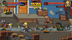 Image of Double Dragon Gaiden: Rise Of The Dragons