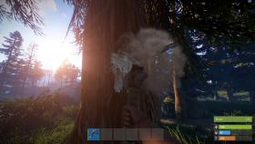 Rust picture on PC