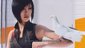 Screenshot from the game Mirror's Edge: Catalyst in good quality