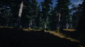Screenshot from the game Mushroom Picker Simulator in good quality
