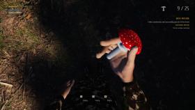 Image of Mushroom Picker Simulator