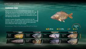 Screenshot from the game The Catch: Carp &  Coarse in good quality