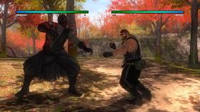 Screenshot from the game Dead or Alive 5: Last Round in good quality