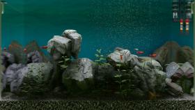 Biotope picture on PC