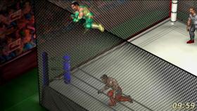 Fire Pro Wrestling World picture on PC