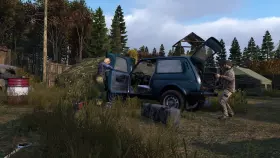 Screenshot from the game DayZ in good quality