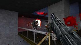 Half-Life picture on PC